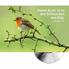  Meine Kraft ist in den Schwachen mächtig (CD-Card)