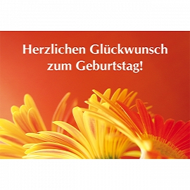 Herzlichen Glückwunsch zum Geburtstag (Faltkarte)