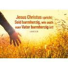 Jahreslosung 2021 - (CD-Card) Seid barmherzig, wie auch euer Vater barmherzig ist! Motiv Kornfeld